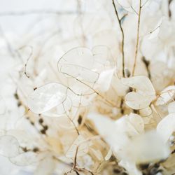 アンダーズ東京の写真30枚目