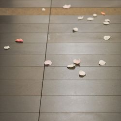 アンダーズ東京の写真27枚目