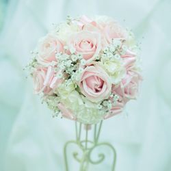 アニヴェルセル 豊洲の写真20枚目