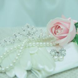 アニヴェルセル 豊洲の写真29枚目