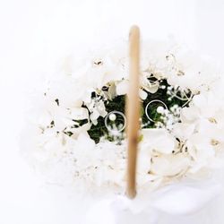 ノートルダム大阪ONEの写真13枚目