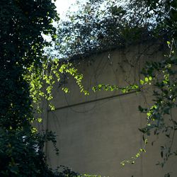 ウィズザスタイルフクオカ の写真3枚目