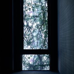 ウィズザスタイルフクオカ の写真5枚目