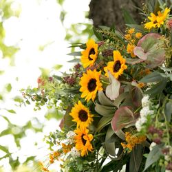 ラ・クラリエールの写真15枚目