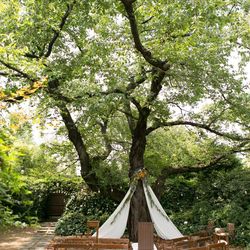 ラ・クラリエールの写真18枚目