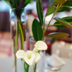 ザ・コンダーハウスの写真4枚目