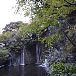 ホテル雅叙園東京の写真16枚目