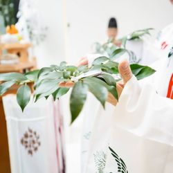 KOTOWA 奈良公園 Premium Viewの写真23枚目