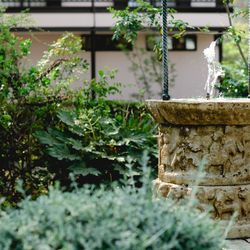 山手十番館ウエディング ハウス&ガーデンの写真11枚目