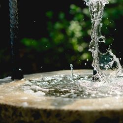 山手十番館ウエディング ハウス&ガーデンの写真2枚目