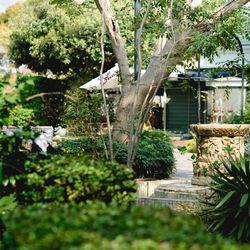 山手十番館ウエディング ハウス&ガーデンの写真12枚目