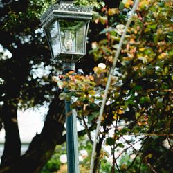 山手十番館ウエディング ハウス&ガーデンの写真3枚目