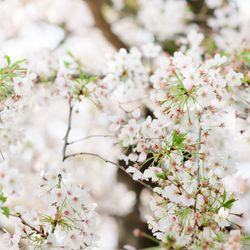 山手十番館ウエディング ハウス&ガーデンの写真1枚目