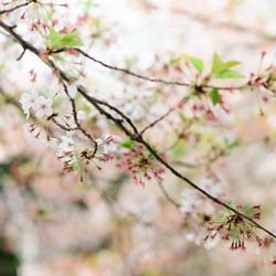 山手十番館ウエディング ハウス&ガーデンの写真5枚目