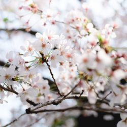 山手十番館ウエディング ハウス&ガーデンの写真4枚目