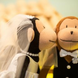 グレイスヒル・オーシャンテラスの写真24枚目