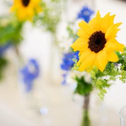 ル・グラン・ミラージュ ONE & ONLYの写真26枚目