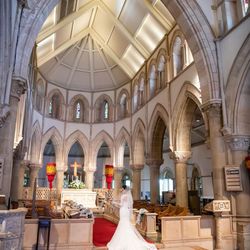 ランス ヤナギダテの写真36枚目