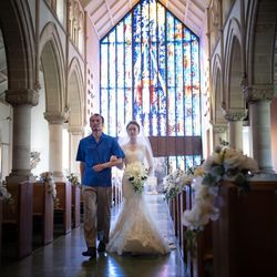 ランス ヤナギダテの写真35枚目