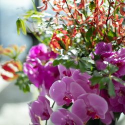 コンラッド大阪の写真18枚目