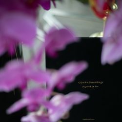 コンラッド大阪の写真35枚目