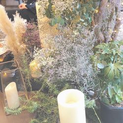 ザ・ガーデンオリエンタル大阪の写真11枚目