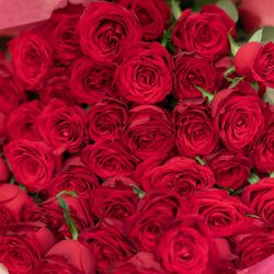 ラソールガーデン大阪の写真11枚目