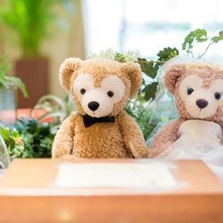 ラソールガーデン大阪の写真19枚目