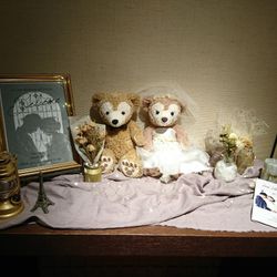 ラソールガーデン大阪の写真20枚目