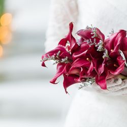 ラソールガーデン大阪の写真8枚目