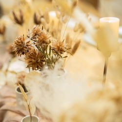 TRUNK HOTELの写真6枚目