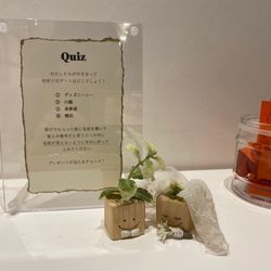 TRUNK HOTELの写真24枚目