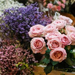 ララシャンス 博多の森の写真12枚目