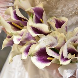 横浜迎賓館の写真31枚目