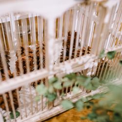 ヴィラ・デ・マリアージュ 宇都宮の写真31枚目