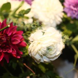 ホテルニューオータニの写真20枚目