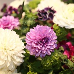 ホテルニューオータニの写真34枚目