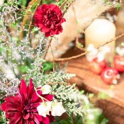 ラソールガーデン名古屋の写真17枚目