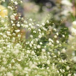 TRUNK HOTELの写真17枚目