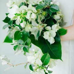 ラフィーノオーシャンの写真6枚目