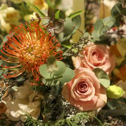 センティール・ラ・セゾン千秋公園の写真5枚目