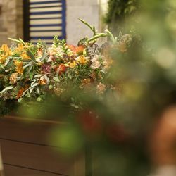 センティール・ラ・セゾン千秋公園の写真9枚目