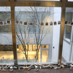 センティール・ラ・セゾン千秋公園の写真3枚目