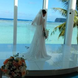 リストランテ ベニーレ ベニーレの写真16枚目