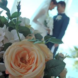 リストランテ ベニーレ ベニーレの写真26枚目