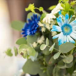 ル・グラン・ミラージュ ONE & ONLYの写真34枚目