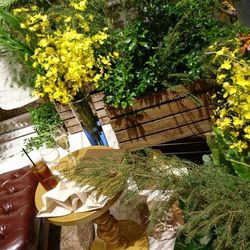 ディアステージつくばフォレストテラスの写真23枚目