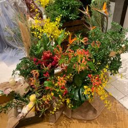 ディアステージつくばフォレストテラスの写真30枚目