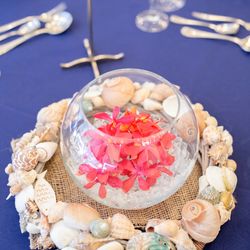 ディアステージつくばフォレストテラスの写真7枚目