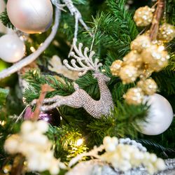 ラ・フェット ひらまつの写真23枚目